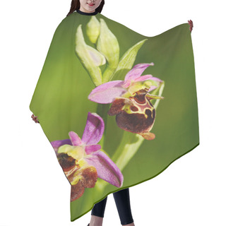 Personality  Flowering European Terrestrial Wild Orchid   Hair Cutting Cape