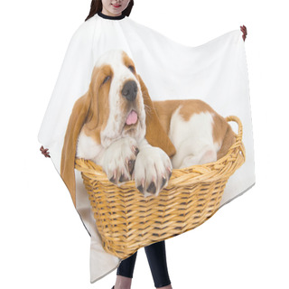 Personality  Baby Basset In Basket Hair Cutting Cape