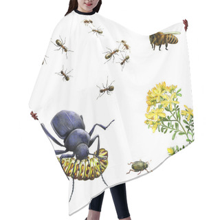 Personality  Insects: Bee, Ants, Ground Beetle Eating Caterpillar, Bug And Yellow Meadow Flowers Hair Cutting Cape