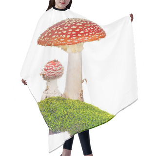 Personality  Two Red Fly Agarics In Green Moss On White Hair Cutting Cape
