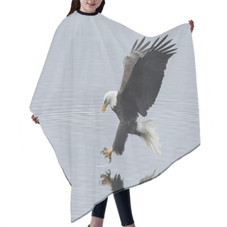 Personality  Eagle Reaches For Fish. Hair Cutting Cape
