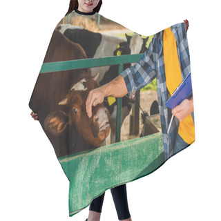 Personality  Cropped View Of Rancher With Clipboard Touching Head Of Cow On Farm Hair Cutting Cape