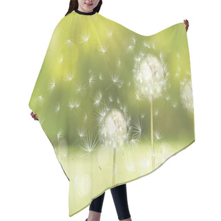 Personality  Spring Background With Dandelions. Hair Cutting Cape