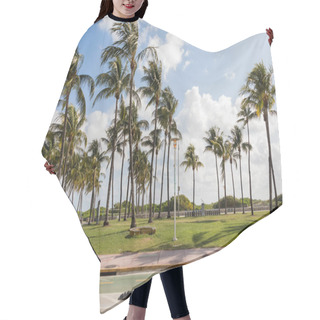 Personality  Green Palm Trees Growing In Modern Park Against Blue Sky In Miami  Hair Cutting Cape