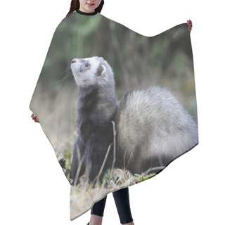 Personality  Polecat Hair Cutting Cape