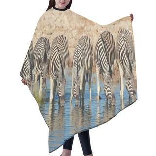 Personality  Plains Zebras Drinking Water Hair Cutting Cape