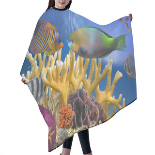 Personality  Tropical Fish On Coral Reef In The Red Sea Hair Cutting Cape