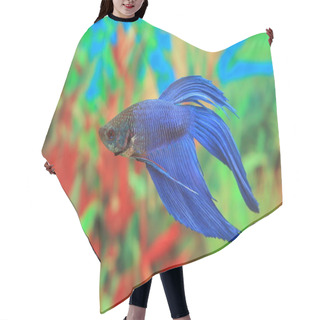 Personality  Betta Splendens Of Blue Color Hair Cutting Cape