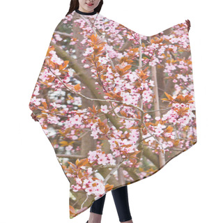 Personality  Branches Blossoming With Pink Flowers Hair Cutting Cape