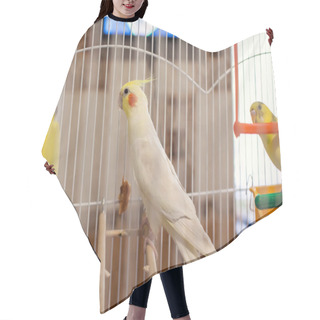 Personality  Corella Parrot In A Cage Hair Cutting Cape
