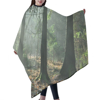 Personality  Misty Autumnal Coniferous Stand Hair Cutting Cape