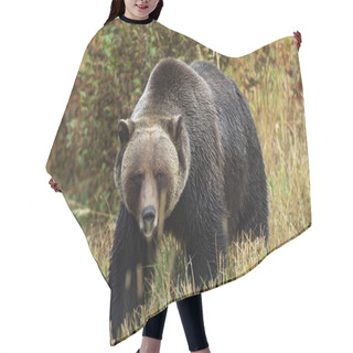 Personality  Male Grizzly Bear Hair Cutting Cape