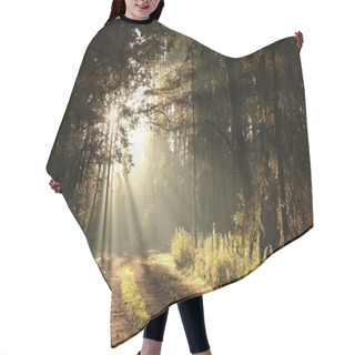 Personality  The Rising Sun Falls Into The Autumn Forest In Foggy Weather Hair Cutting Cape