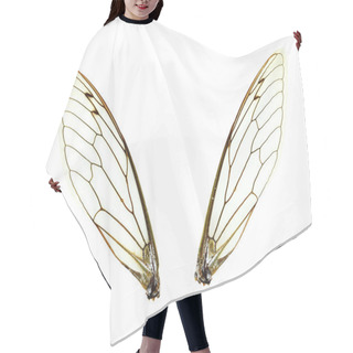 Personality  Isolated Cicada (Jar FLy) Wings Hair Cutting Cape