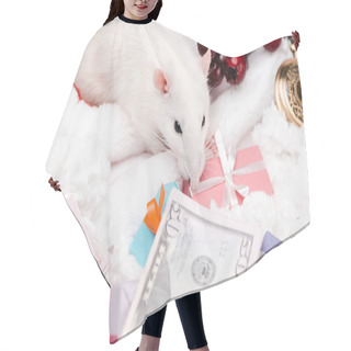 Personality  Selective Focus Of Small Mouse Near Presents And Dollar Banknotes  Hair Cutting Cape