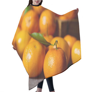 Personality  Selective Focus Of Sweet Orange Clementine Near Tangerines With Green Leaves Hair Cutting Cape