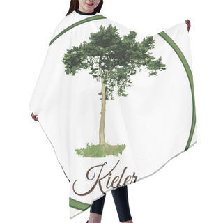 Personality  Pine Tree As Vector Drawn Conifer Evergreen Hair Cutting Cape