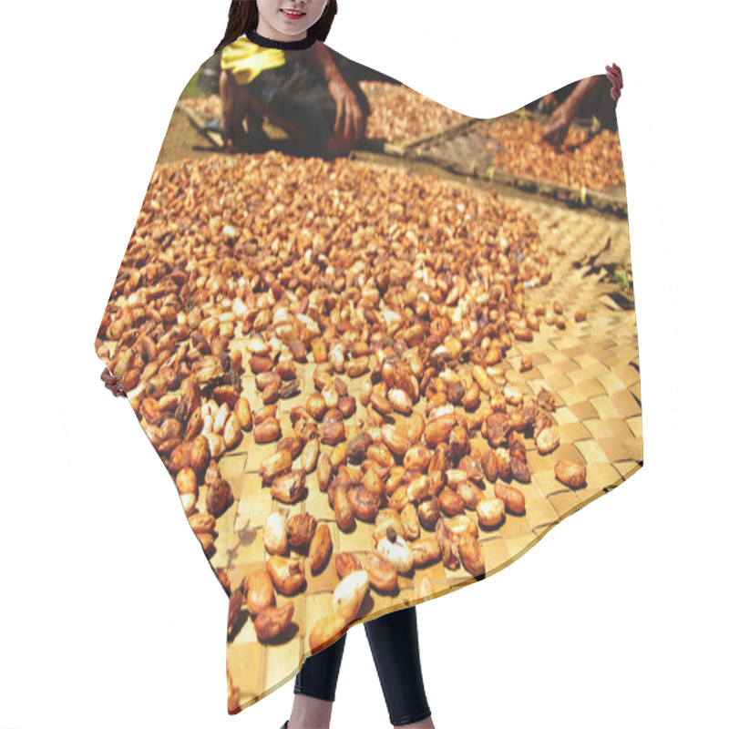 Personality  Fresh Cacao Beans Drying In The Sun Hair Cutting Cape