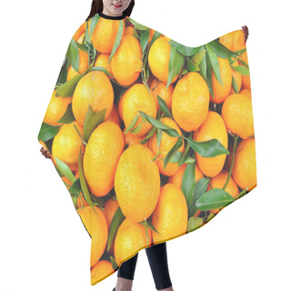 Personality  Tangerines Hair Cutting Cape