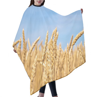 Personality  Gold Wheat Field Hair Cutting Cape