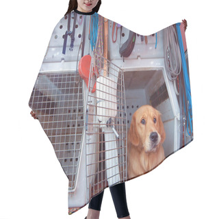 Personality  Transporting A Dog In A Transport Box In A Car Hair Cutting Cape