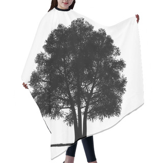 Personality  Vector Drawing Of The Tree - Detailed Vector  Hair Cutting Cape