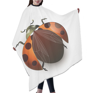 Personality  Vector Illustration Of A Ladybug Hair Cutting Cape