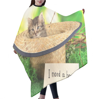 Personality  Small Kitten In Hat On Grass On Natural Background Hair Cutting Cape