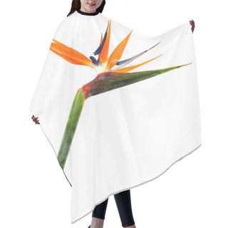 Personality  Bird Of Paradise Flowers Hair Cutting Cape