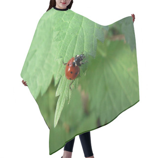 Personality  Ladybird On The Green Leaf Hair Cutting Cape