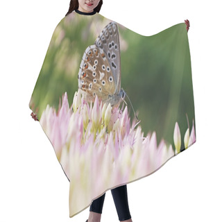 Personality  Butterfly On Sedum Hair Cutting Cape