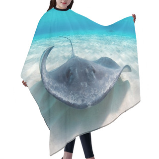 Personality  Southern Atlantic Stingray Hair Cutting Cape