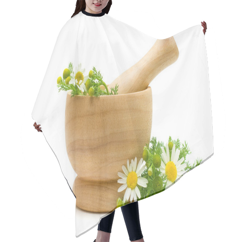 Personality  Medicine Camomile flowers - Herbal Treatment hair cutting cape