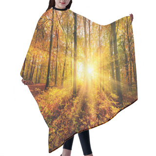 Personality  The Autumn Sun Doing Its Magic In A Forest Hair Cutting Cape