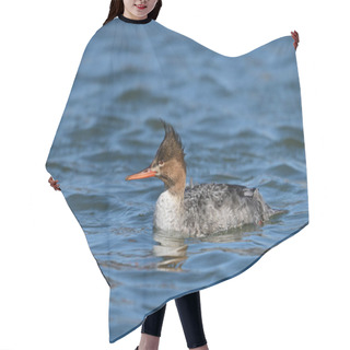 Personality  Female Red-breasted Merganser Floating On A Lake Hair Cutting Cape