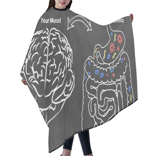 Personality  Mood And Gut Bacteria Hair Cutting Cape