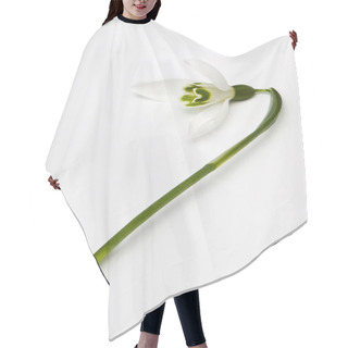 Personality  Snowdrop Hair Cutting Cape