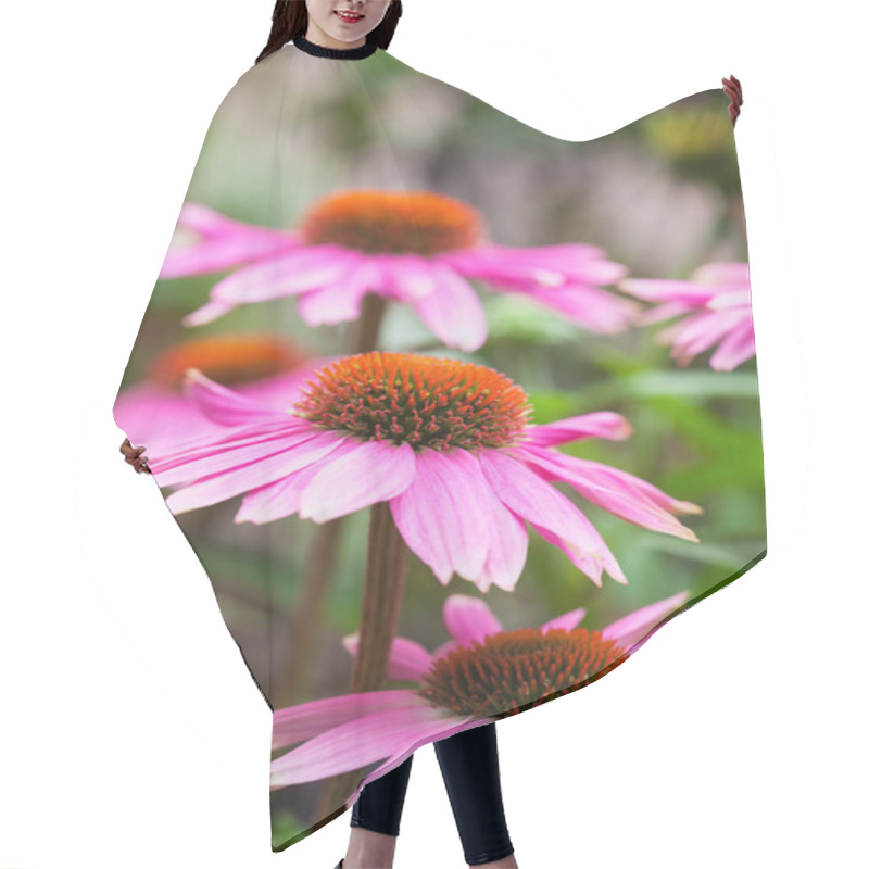 Personality  Purple Coneflower Hair Cutting Cape