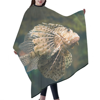 Personality  Lion Fish Swim Underwater Hair Cutting Cape