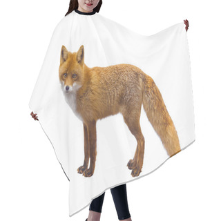 Personality  Fox Hair Cutting Cape