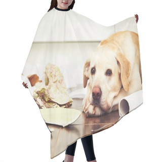 Personality  Naughty Dog In The Kitchen Hair Cutting Cape