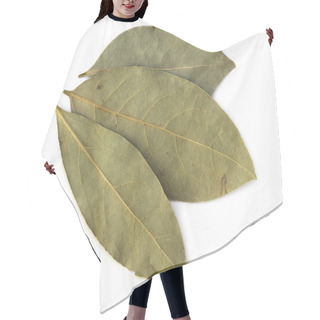 Personality  Dried Bay Leaves Hair Cutting Cape