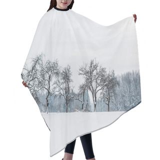 Personality  Scenic View Of Carpathian Mountains And Trees Covered With Snow  Hair Cutting Cape
