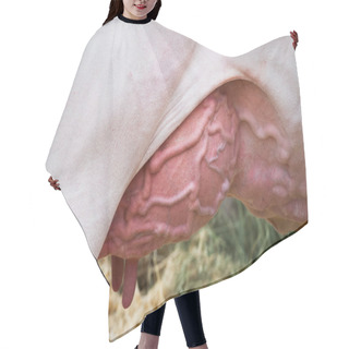 Personality  Udders Hair Cutting Cape