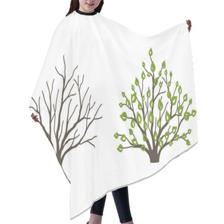Personality  Bush With Leaves And Without On White Background. Bush At The Different Seasons Of The Year Hair Cutting Cape