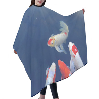 Personality  Koi Fish Hair Cutting Cape