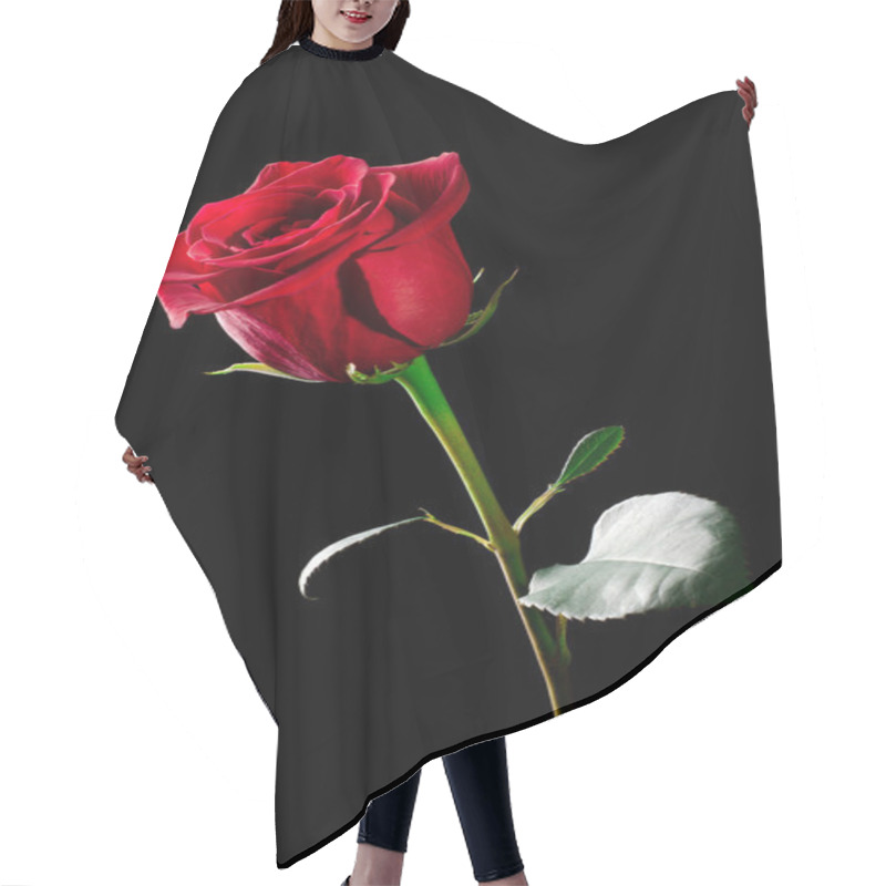 Personality  Rose flower. hair cutting cape