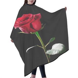 Personality  Rose Flower. Hair Cutting Cape