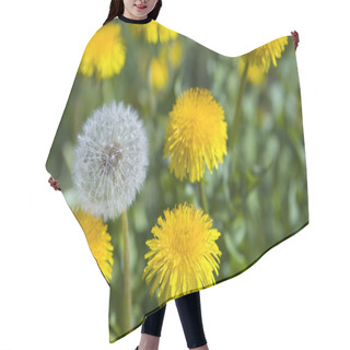Personality  White Dandelion Among Yellow Dandelions Hair Cutting Cape