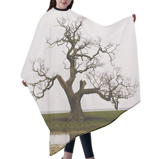 Personality  Dead Tree Hair Cutting Cape